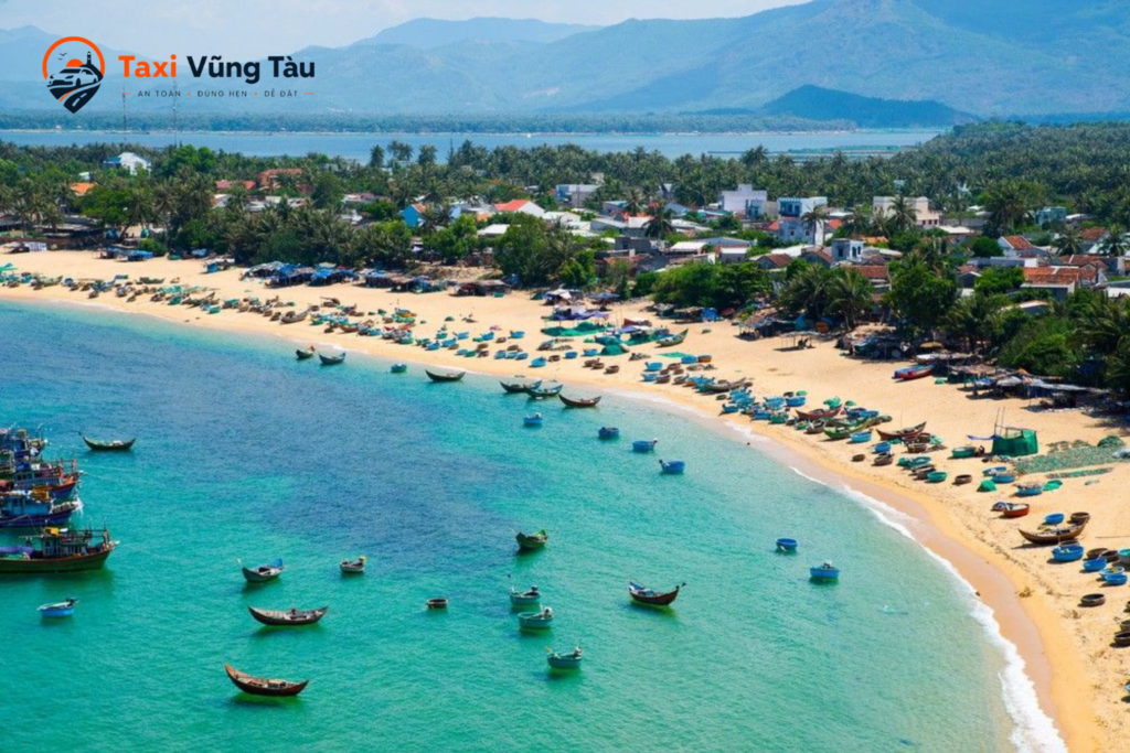 Kinh nghiệm đi Vũng Tàu trong ngày tối ưu nhất