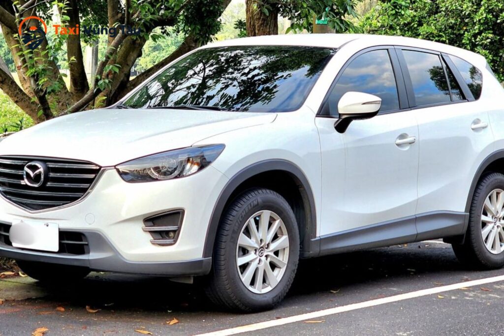 taxi-long-thanh-3