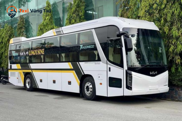 thue-xe-45-cho-di-vung-tau-5