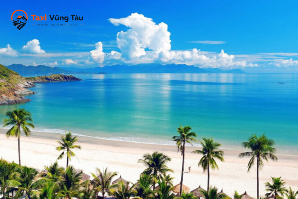 thue-xe-45-cho-di-vung-tau-6