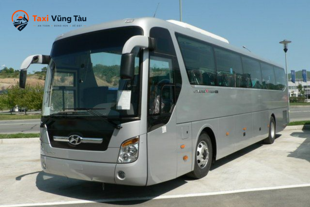 thue-xe-45-cho-di-vung-tau-7