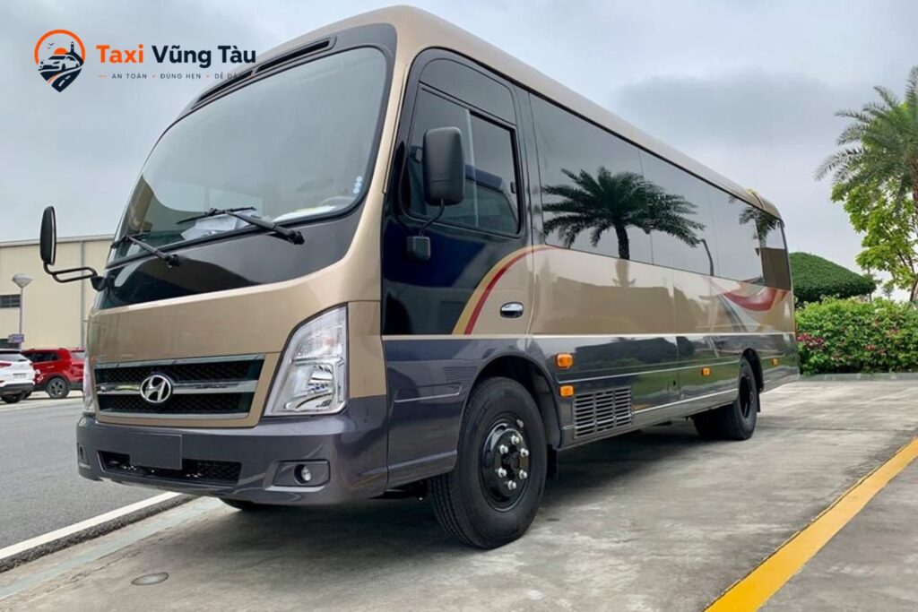 taxi-ham-thuan-nam-7