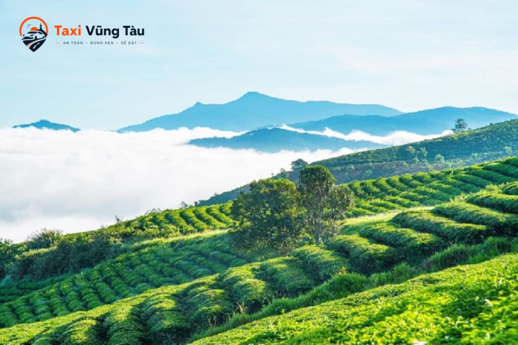 taxi-vinh-hy-di-da-lat-8